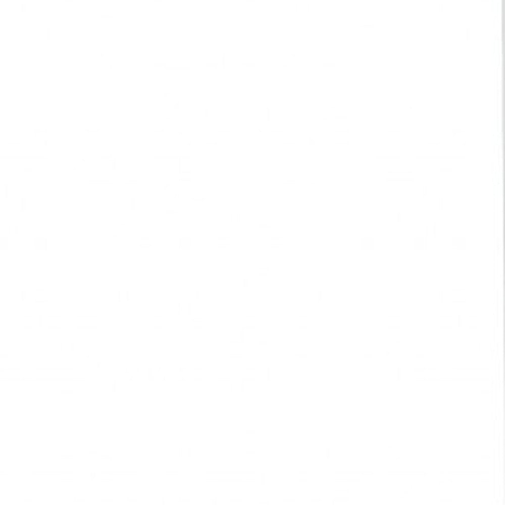 White Wood Twin Canopy Bed Frame-4